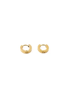 Gold Medium Plate Hoop Earrings